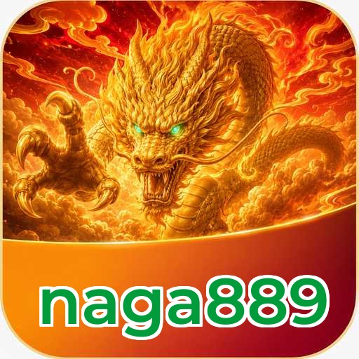 Overview naga889